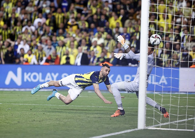 亮点依旧 亮点依旧