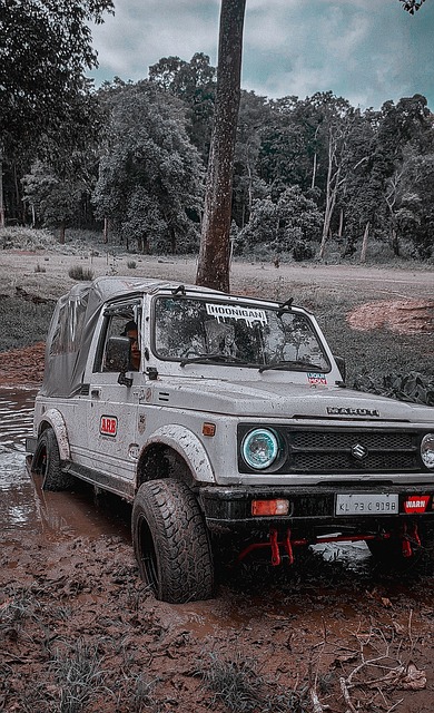 情绪上的调 情绪上的调