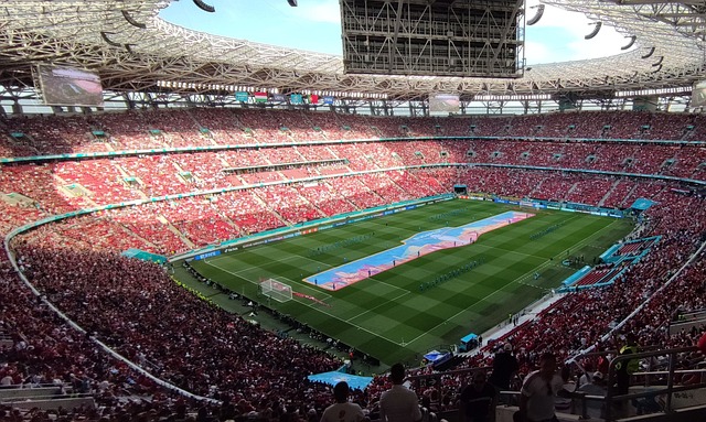 在体育界 在体育界