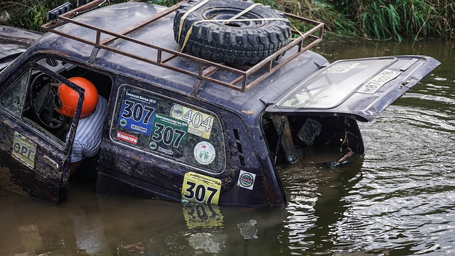 他的表现证 他的表现证