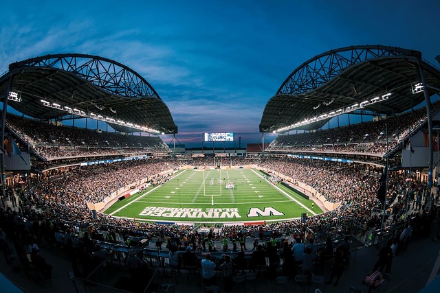 老将的经验 老将的经验