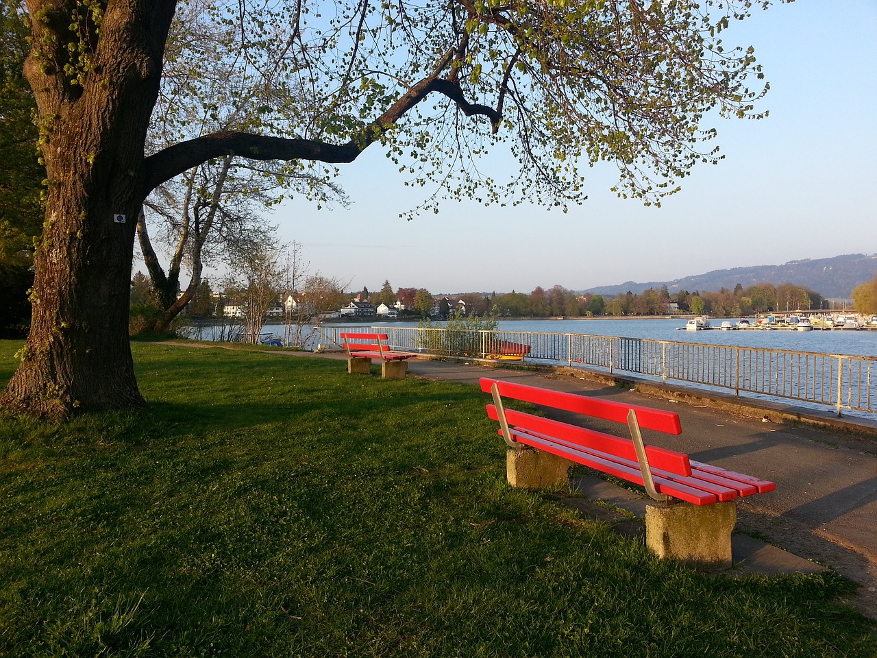 栗鹏加盟辽 栗鹏加盟辽