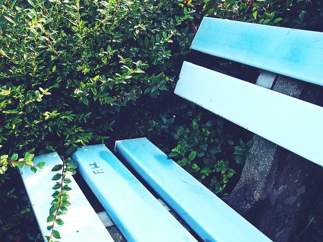 他们在比赛 他们在比赛