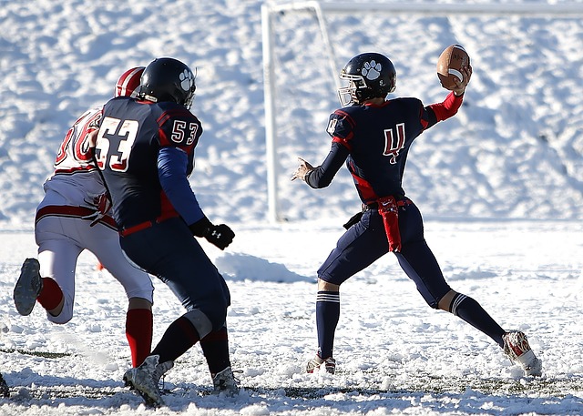 参考其他成 参考其他成