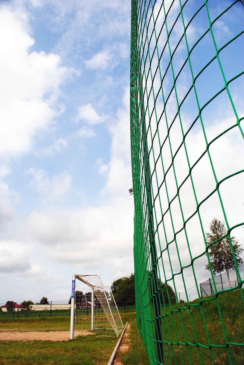 拉出任巴塞 拉出任巴塞